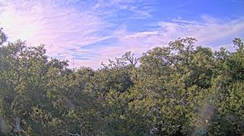 Weather camera view of Metairie Club Gardens.
