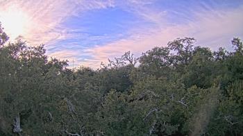 Weather camera view of Metairie Club Gardens.