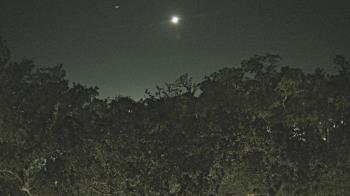 Weather camera view of Metairie Club Gardens.