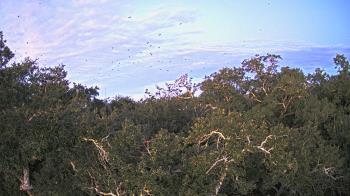 Weather camera view of Metairie Club Gardens.