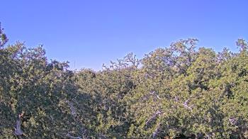 Weather camera view of Metairie Club Gardens.