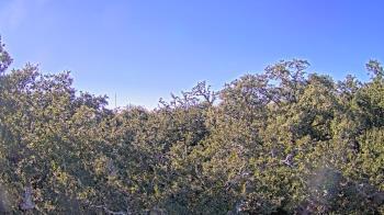 Weather camera view of Metairie Club Gardens.