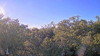 Weather camera view of Metairie Club Gardens.