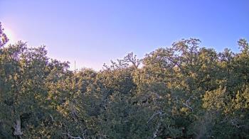 Weather camera view of Metairie Club Gardens.