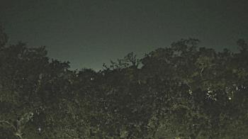 Weather camera view of Metairie Club Gardens.