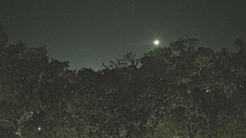 Weather camera view of Metairie Club Gardens.