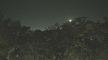 Weather camera view of Metairie Club Gardens.