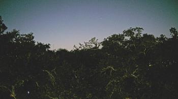 Weather camera view of Metairie Club Gardens.