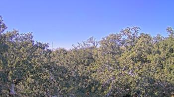 Weather camera view of Metairie Club Gardens.