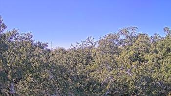Weather camera view of Metairie Club Gardens.