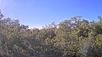 Weather camera view of Metairie Club Gardens.