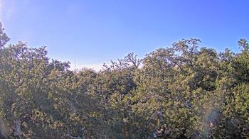 Weather camera view of Metairie Club Gardens.