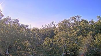 Weather camera view of Metairie Club Gardens.