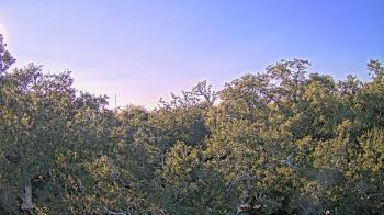Weather camera view of Metairie Club Gardens.