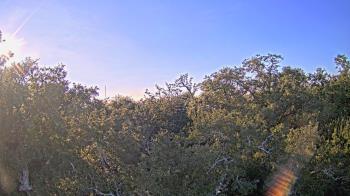 Weather camera view of Metairie Club Gardens.