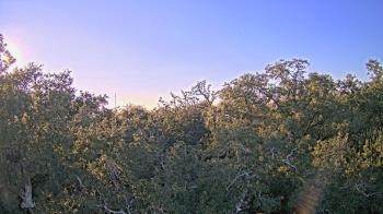 Weather camera view of Metairie Club Gardens.