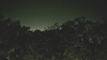 Weather camera view of Metairie Club Gardens.