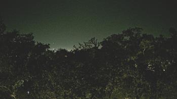 Weather camera view of Metairie Club Gardens.