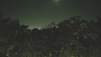 Weather camera view of Metairie Club Gardens.