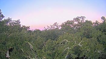 Weather camera view of Metairie Club Gardens.