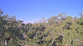 Weather camera view of Metairie Club Gardens.