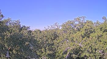 Weather camera view of Metairie Club Gardens.