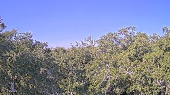 Weather camera view of Metairie Club Gardens.