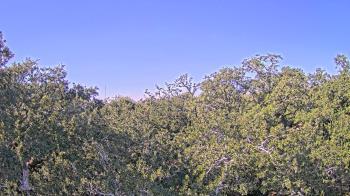 Weather camera view of Metairie Club Gardens.