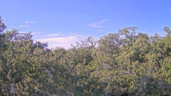 Weather camera view of Metairie Club Gardens.