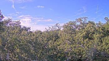 Weather camera view of Metairie Club Gardens.
