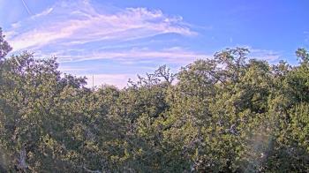 Weather camera view of Metairie Club Gardens.