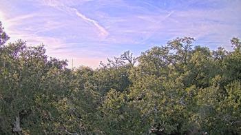 Weather camera view of Metairie Club Gardens.