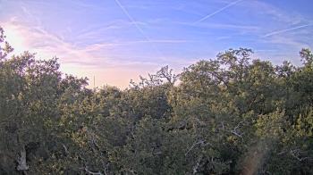 Weather camera view of Metairie Club Gardens.