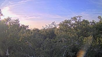 Weather camera view of Metairie Club Gardens.