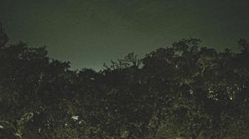 Weather camera view of Metairie Club Gardens.