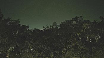 Weather camera view of Metairie Club Gardens.