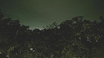 Weather camera view of Metairie Club Gardens.