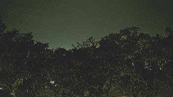 Weather camera view of Metairie Club Gardens.