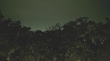 Weather camera view of Metairie Club Gardens.