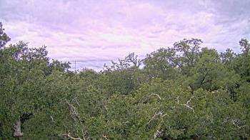 Weather camera view of Metairie Club Gardens.