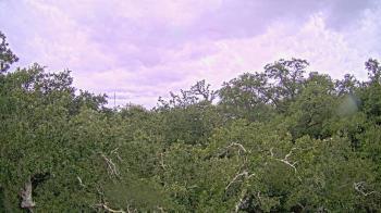 Weather camera view of Metairie Club Gardens.