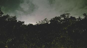 Weather camera view of Metairie Club Gardens.