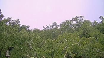 Weather camera view of Metairie Club Gardens.