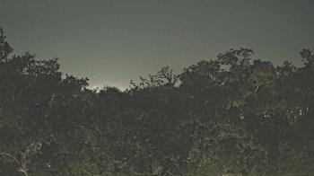 Weather camera view of Metairie Club Gardens.