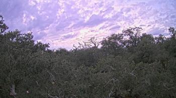 Weather camera view of Metairie Club Gardens.