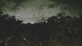 Weather camera view of Metairie Club Gardens.