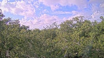 Weather camera view of Metairie Club Gardens.