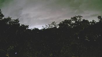 Weather camera view of Metairie Club Gardens.