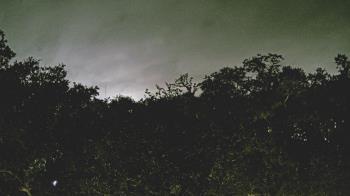 Weather camera view of Metairie Club Gardens.