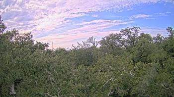 Weather camera view of Metairie Club Gardens.